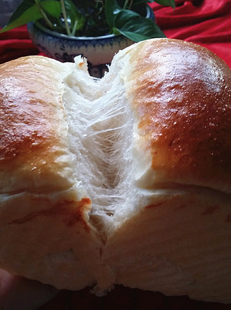 ����������˾