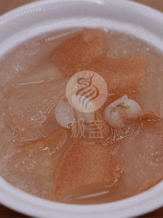 ����ѩ��������