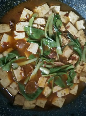 �㳦������