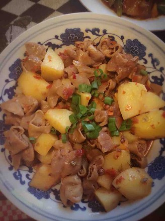 �����շʳ�