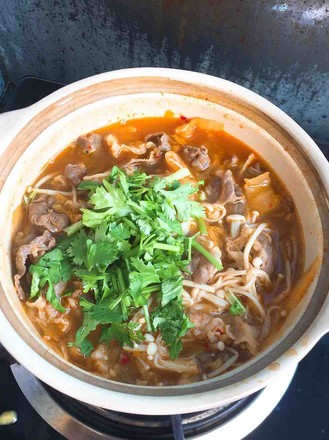 ��ʽ��ţ������