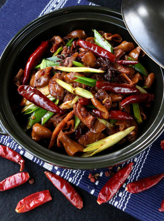 �����ʳ�