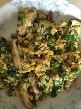 �������ױ�8