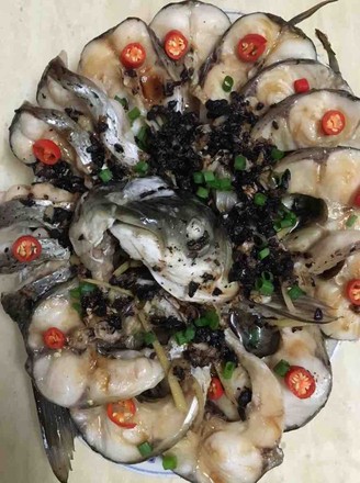 ��ȸ������