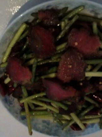 ��̦������