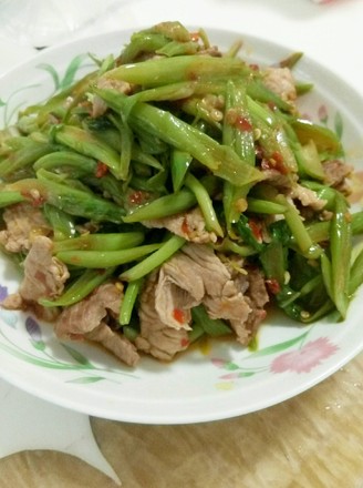 ������ɳ���