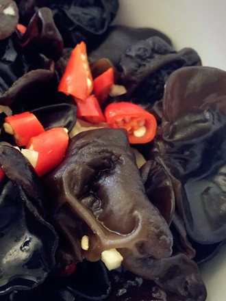 ����ľ��