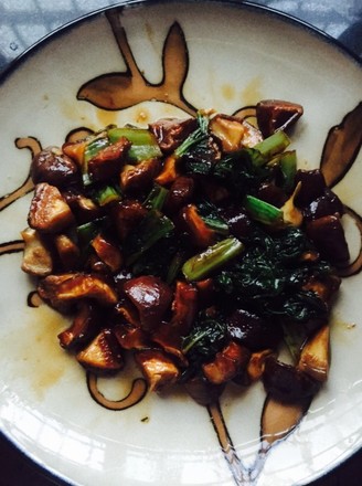 �㹽�����