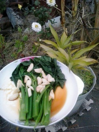 ���ƽ���