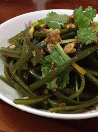 ���躣��˿