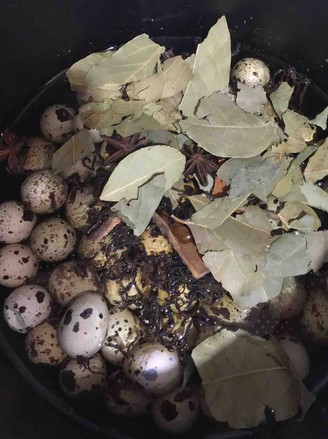 ��Ҷ���ȵ�