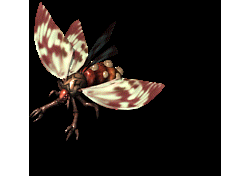 魔龙食人蜂-传奇私服怪物素材